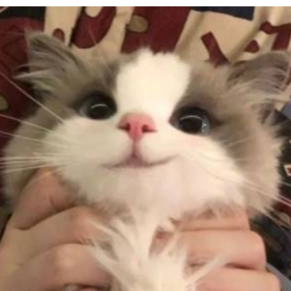 謔