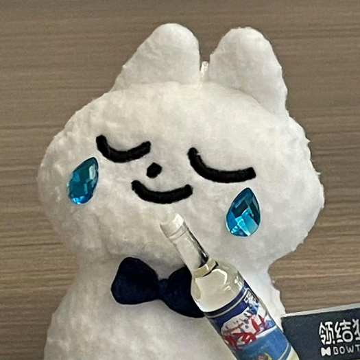 ･ᴗ･꧞