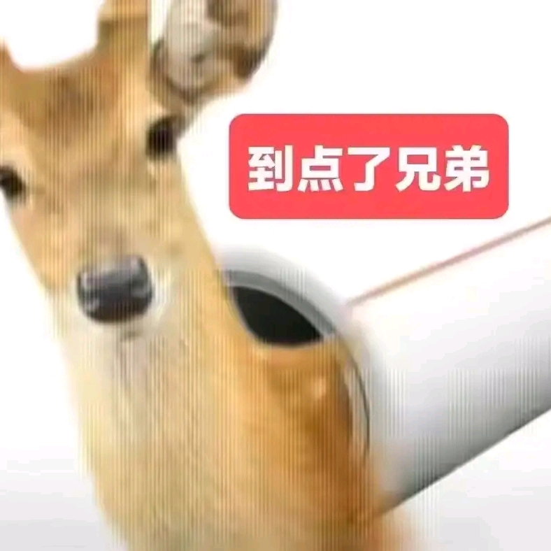 蒙古上单