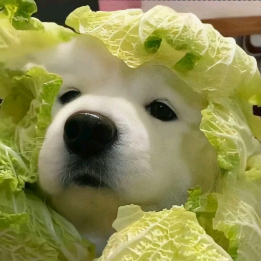 溏心何包蛋