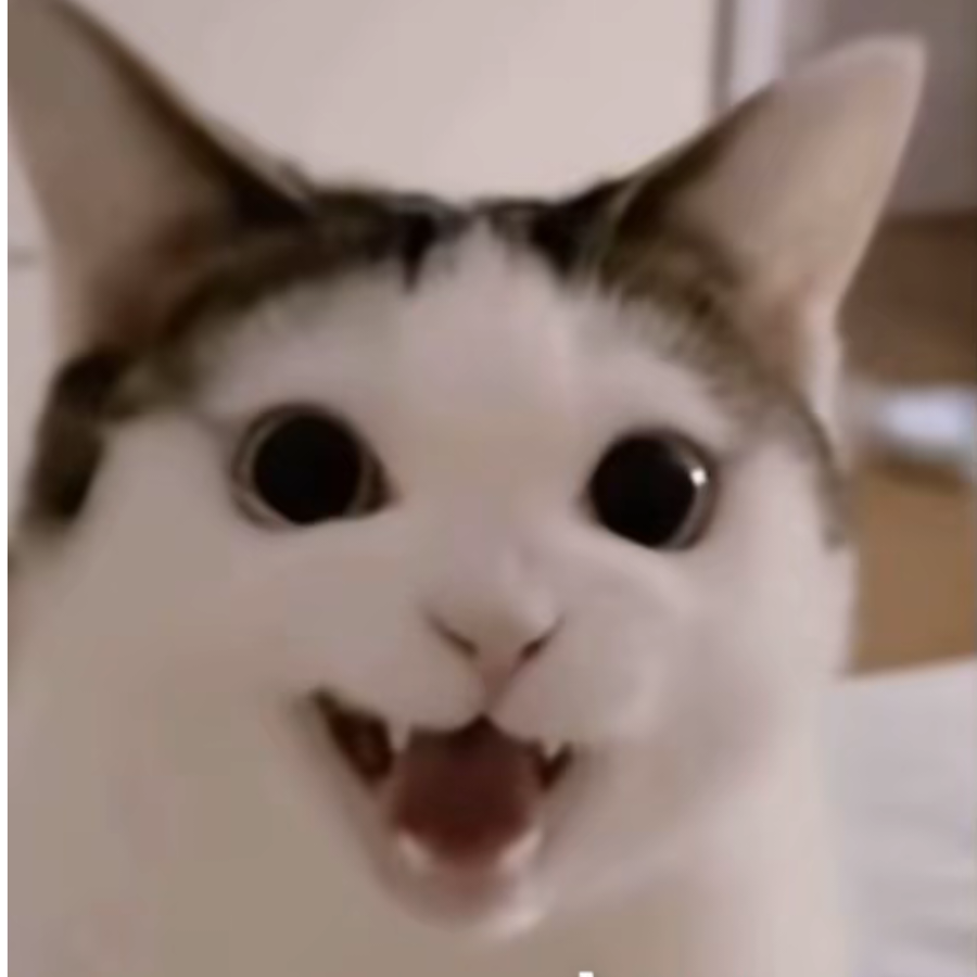 (T＿T)