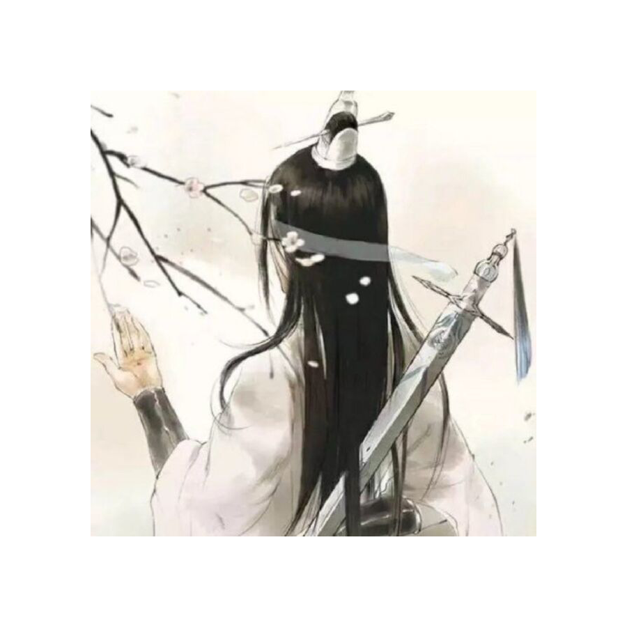 王忧二号