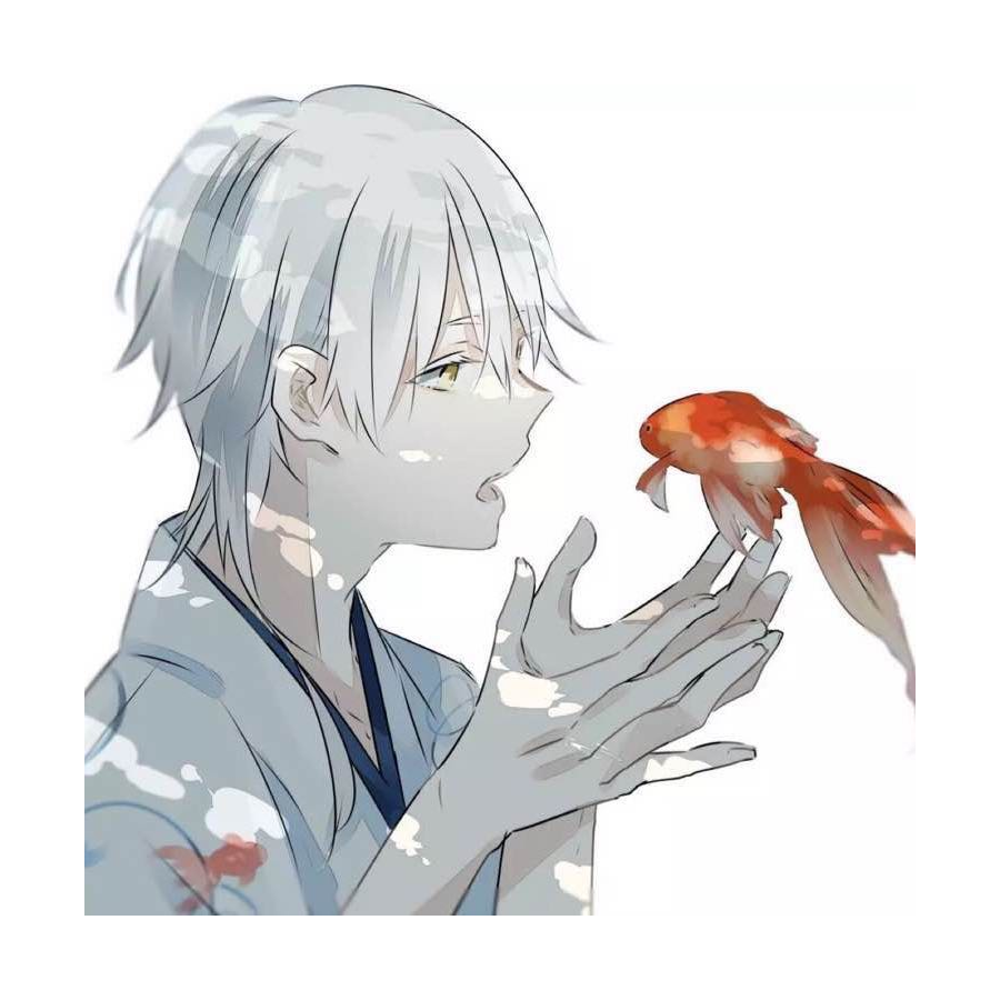 星光