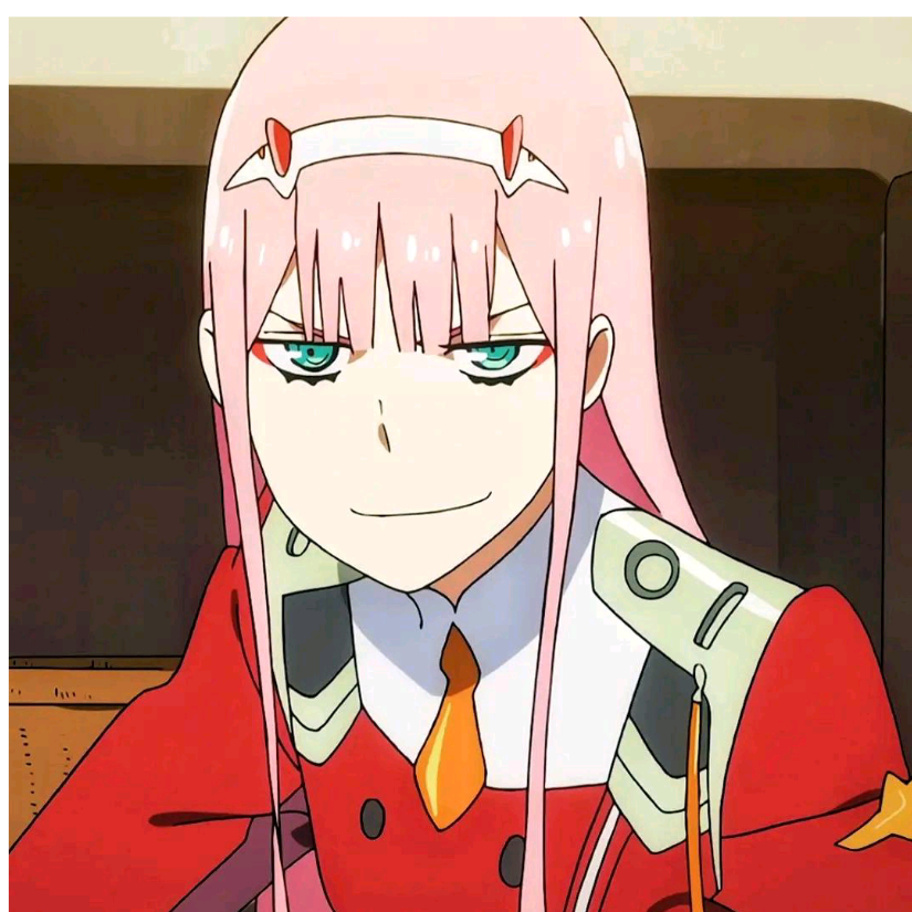 够了别玩了