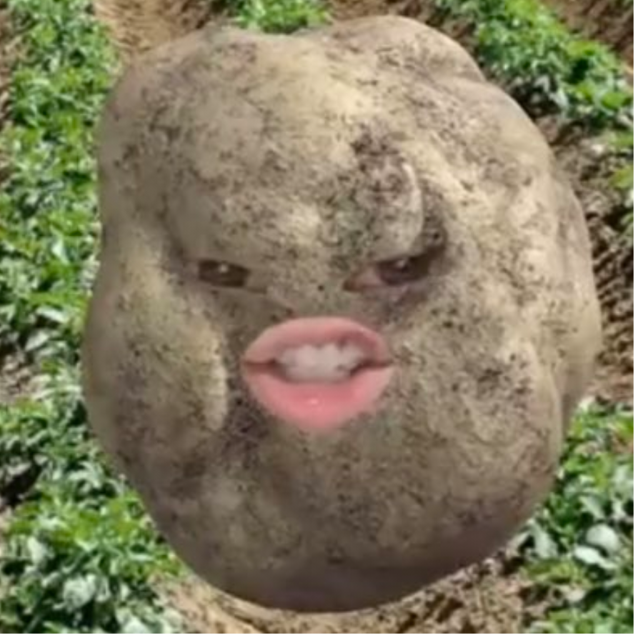 雾埙