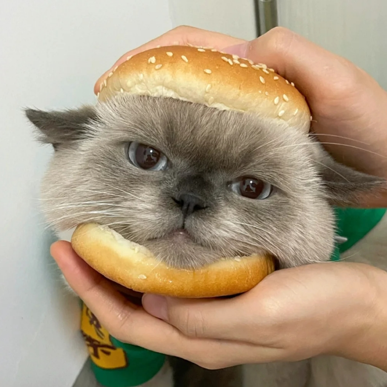片片片