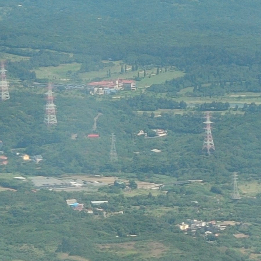 mushui