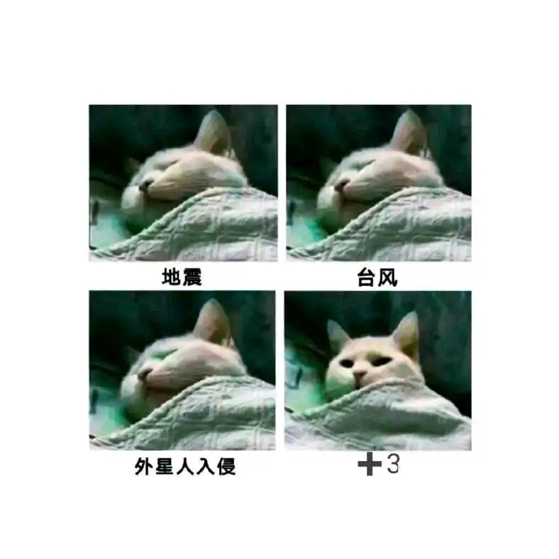 闲晤