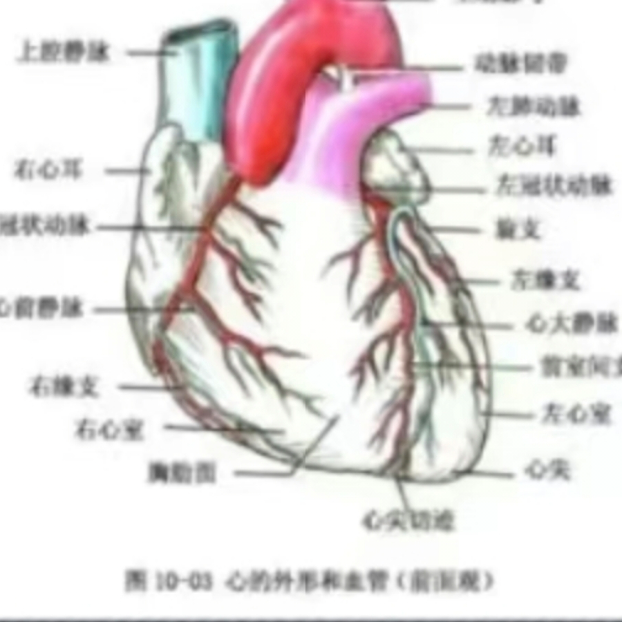 王素云湖北豆制品