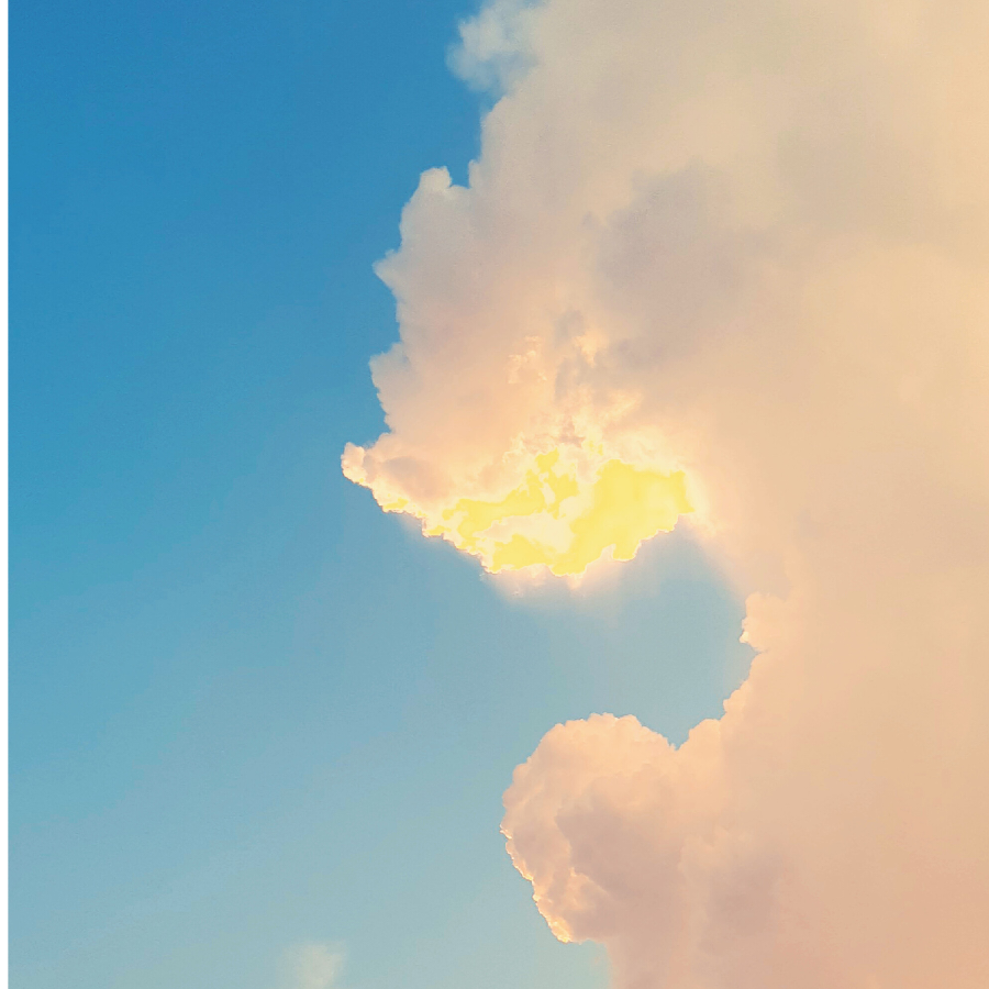 星离雨散