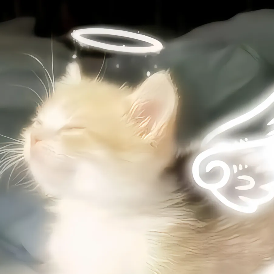 青曲