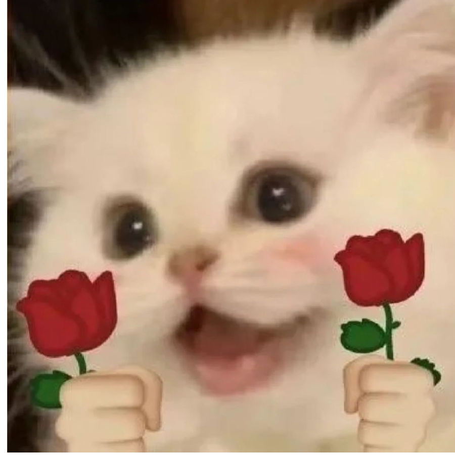 桐