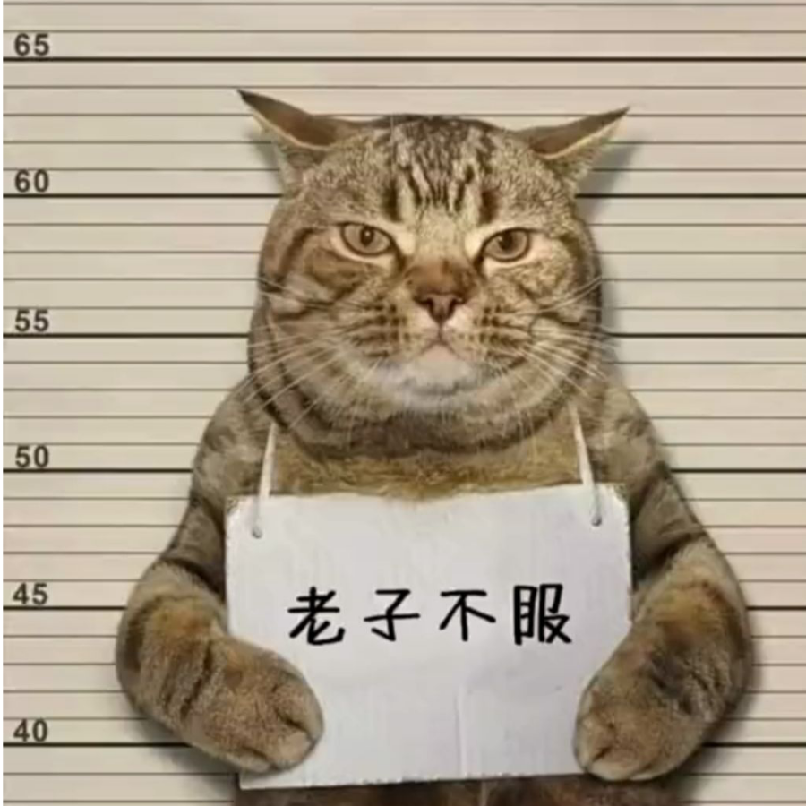 我不是胖虎