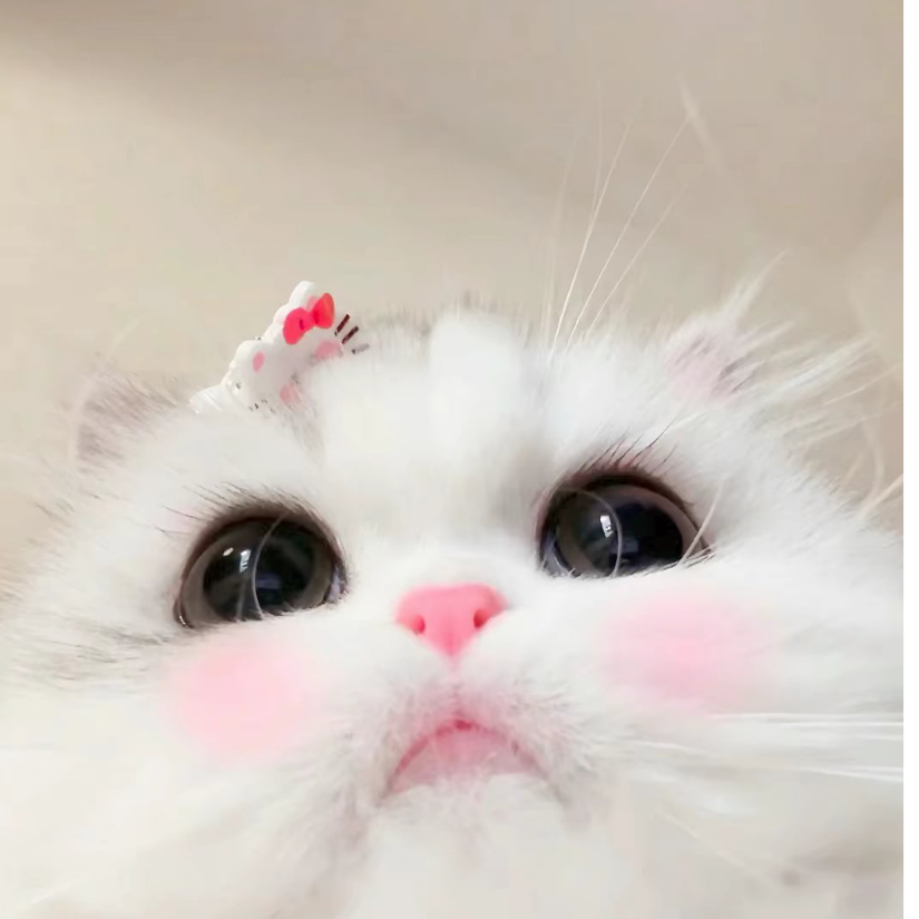 鱼魚