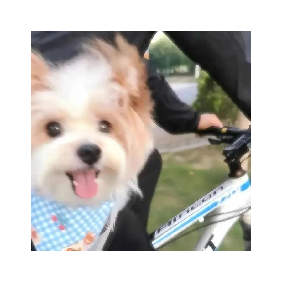 荔枝