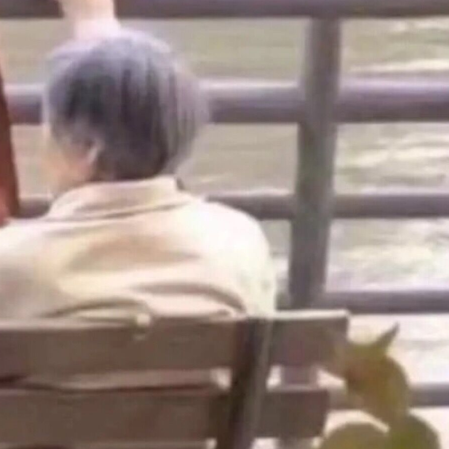 不要脸我要你☆彡