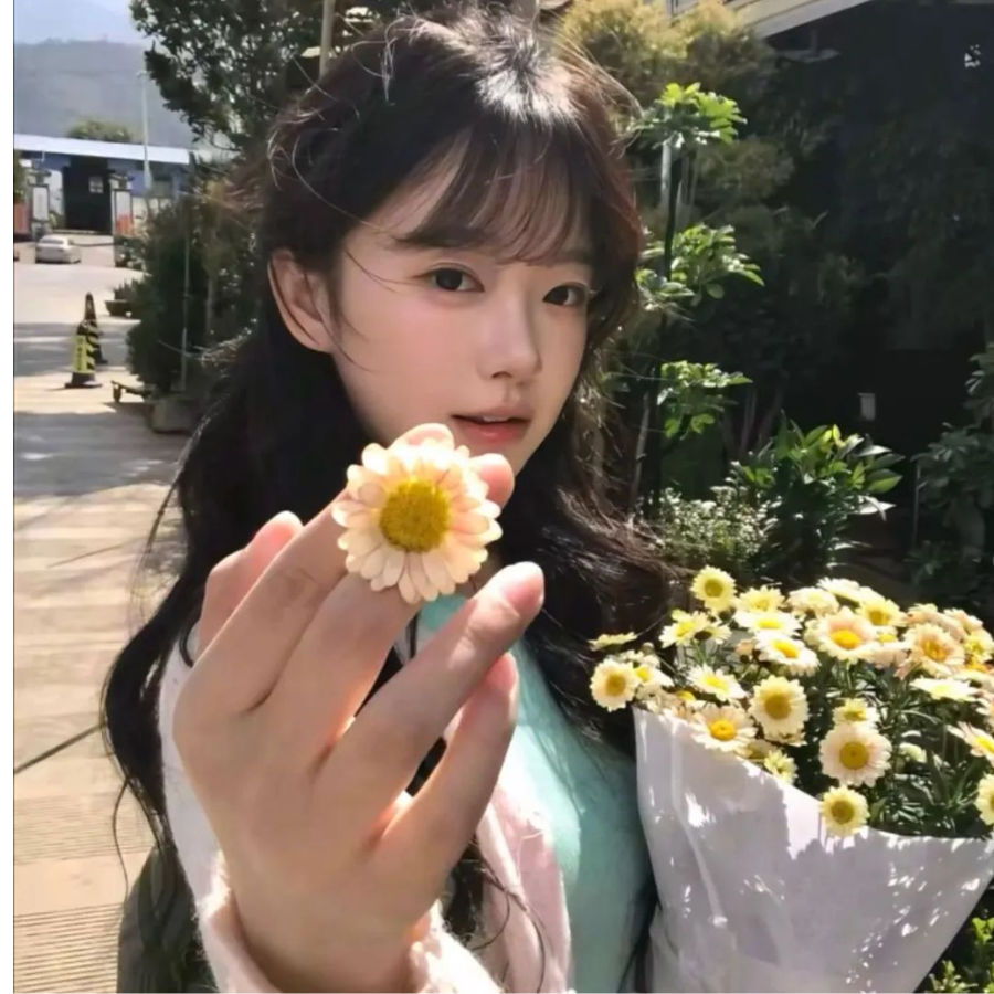 喵喵鱼