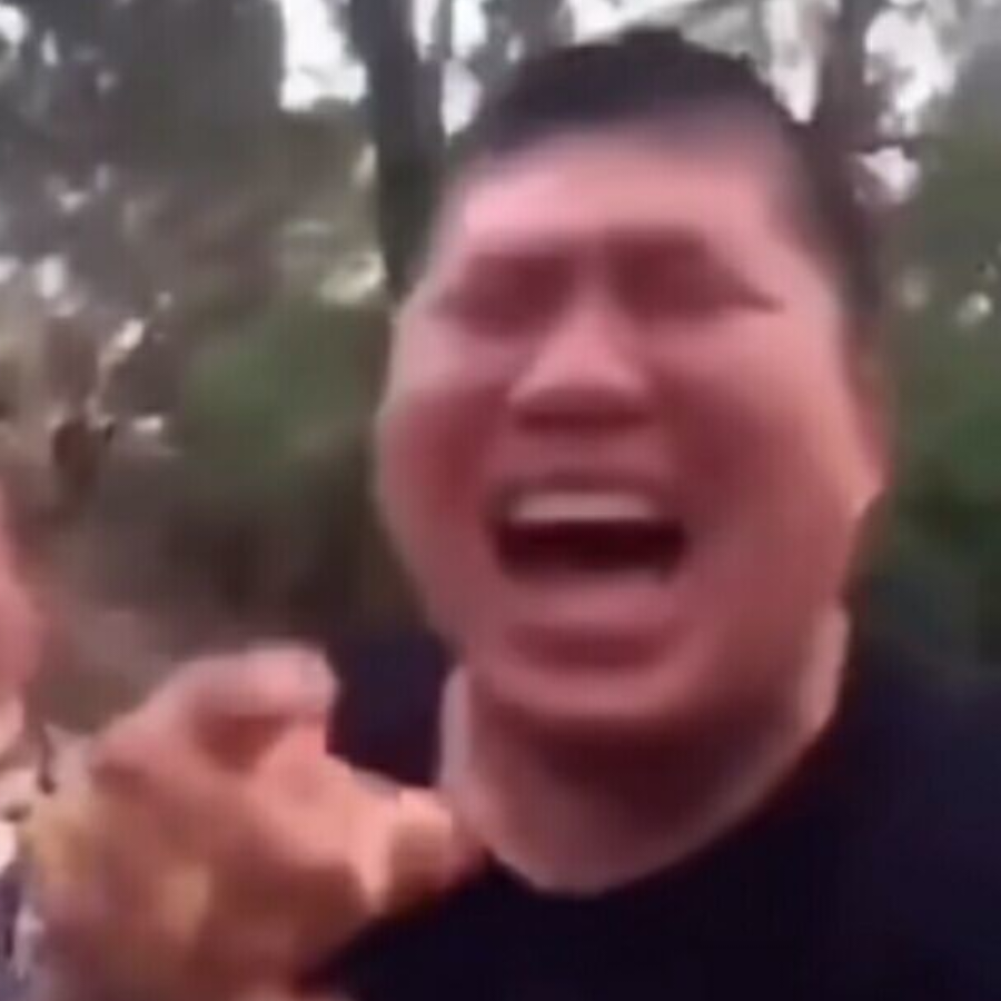 知书达理的小希