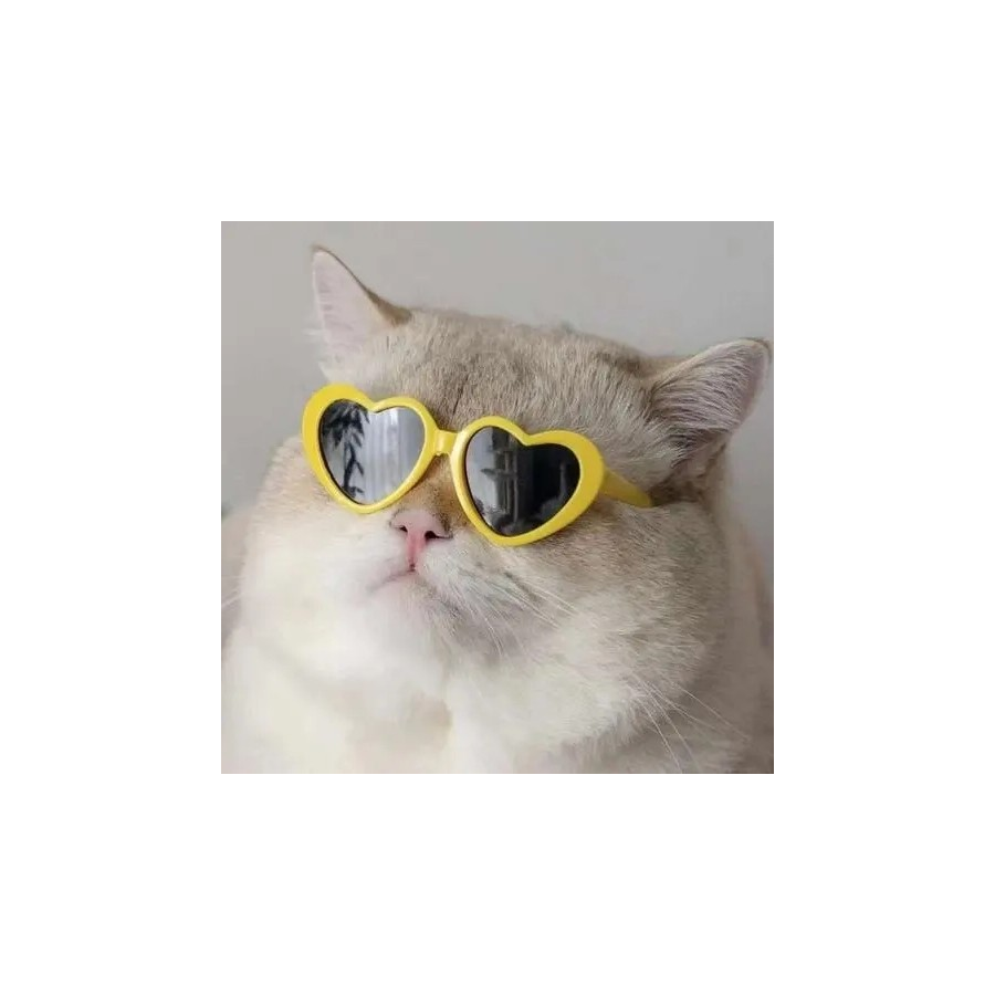 孤狼哥