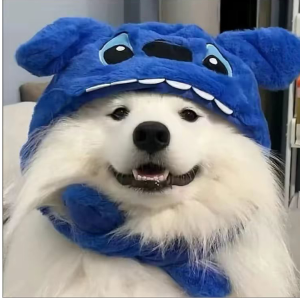 峦付