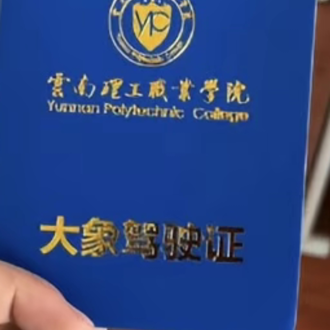 流萤来啦