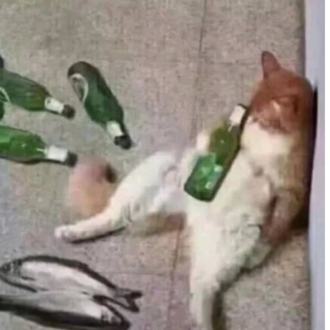 洋洋洋
