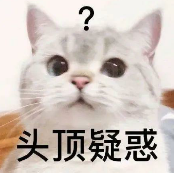 猫语