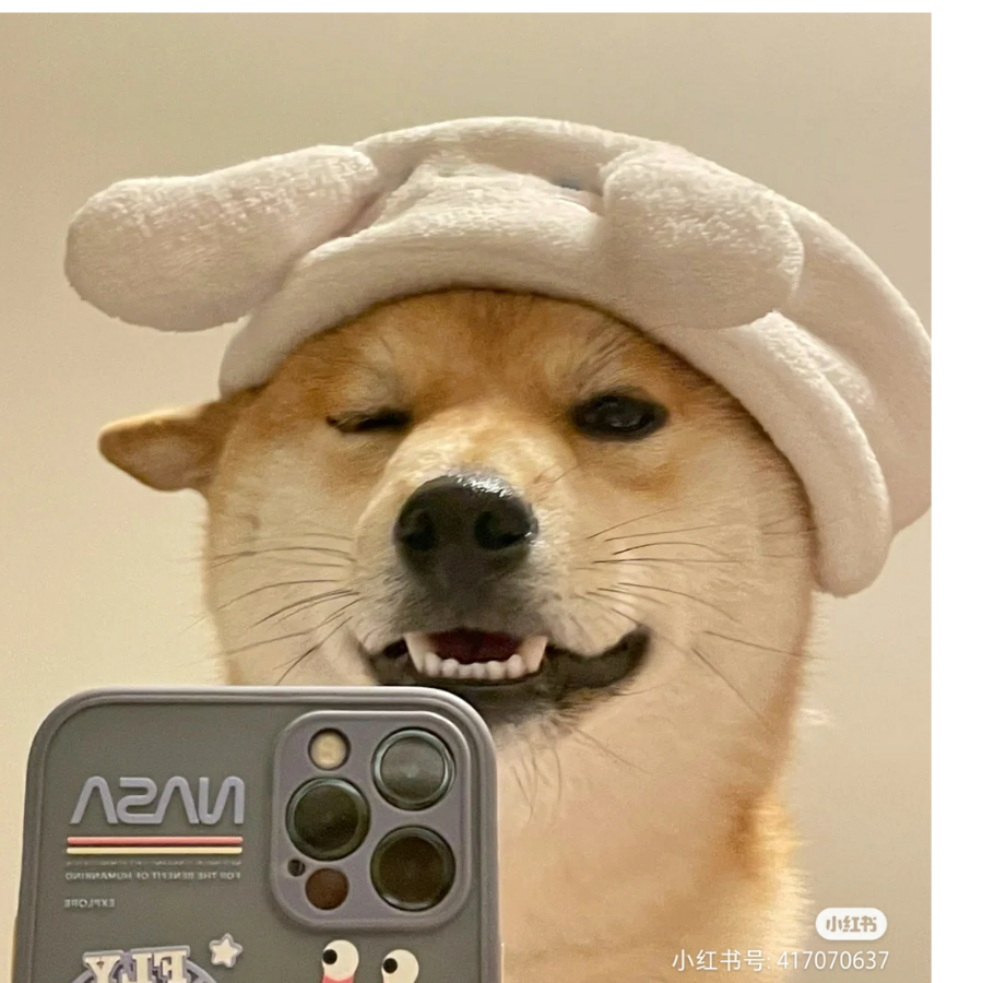 孤戎