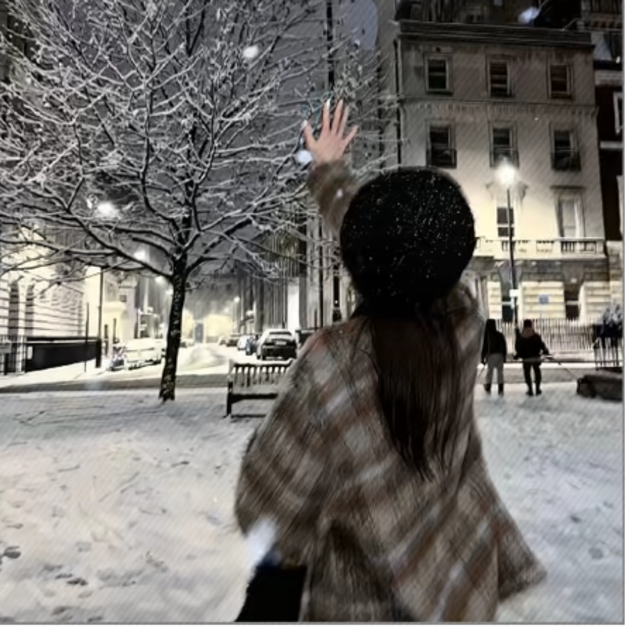 凛冬降初雪