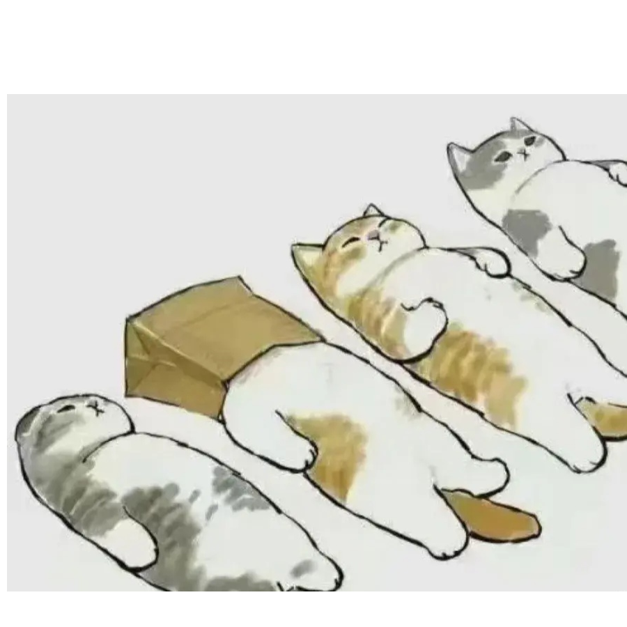 渝渝渝渝渝渝
