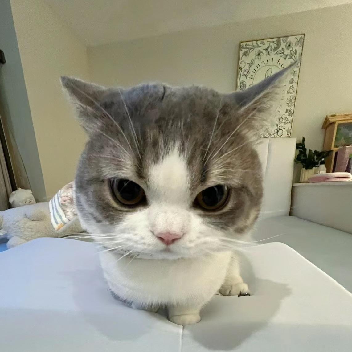 厌