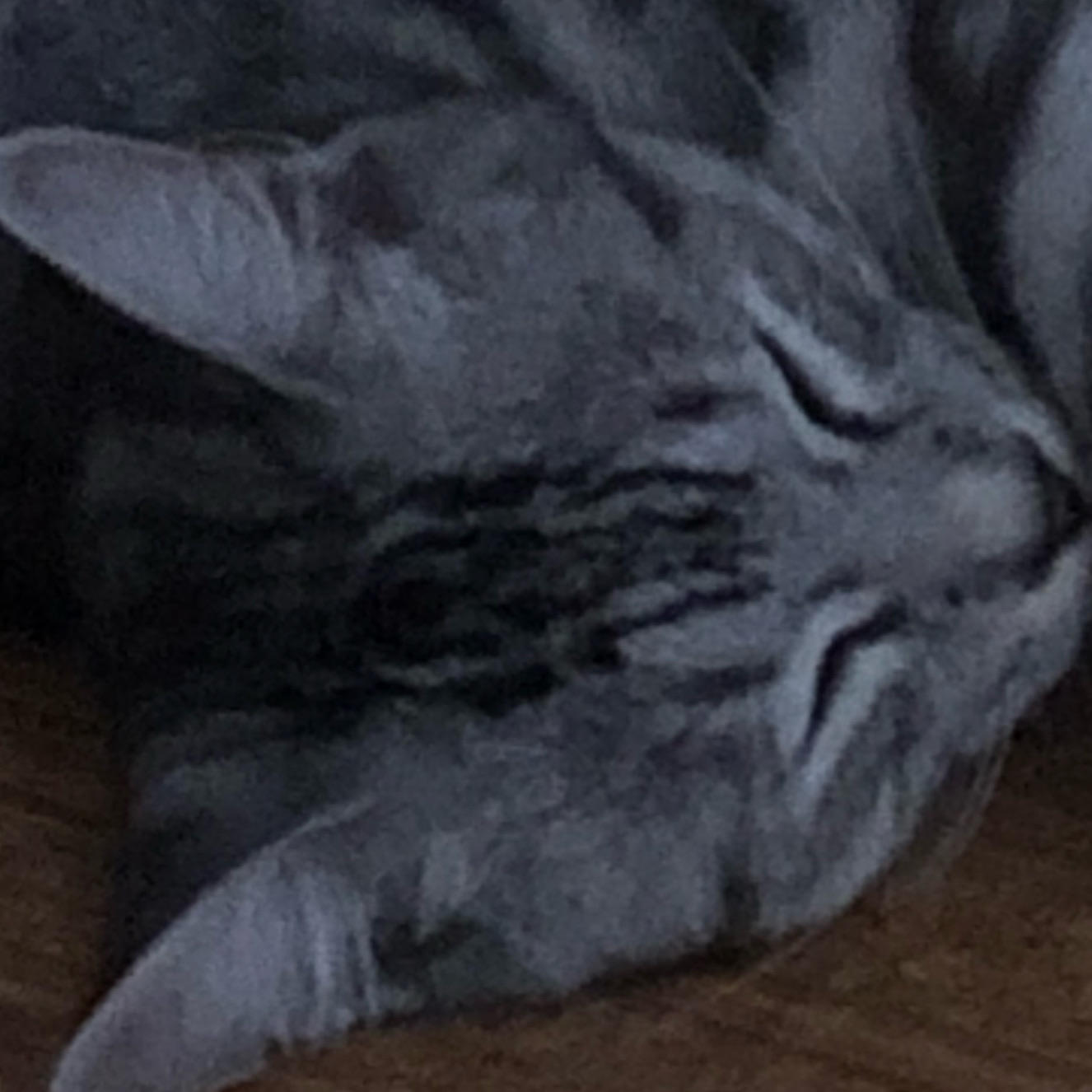 狼顾琅玕