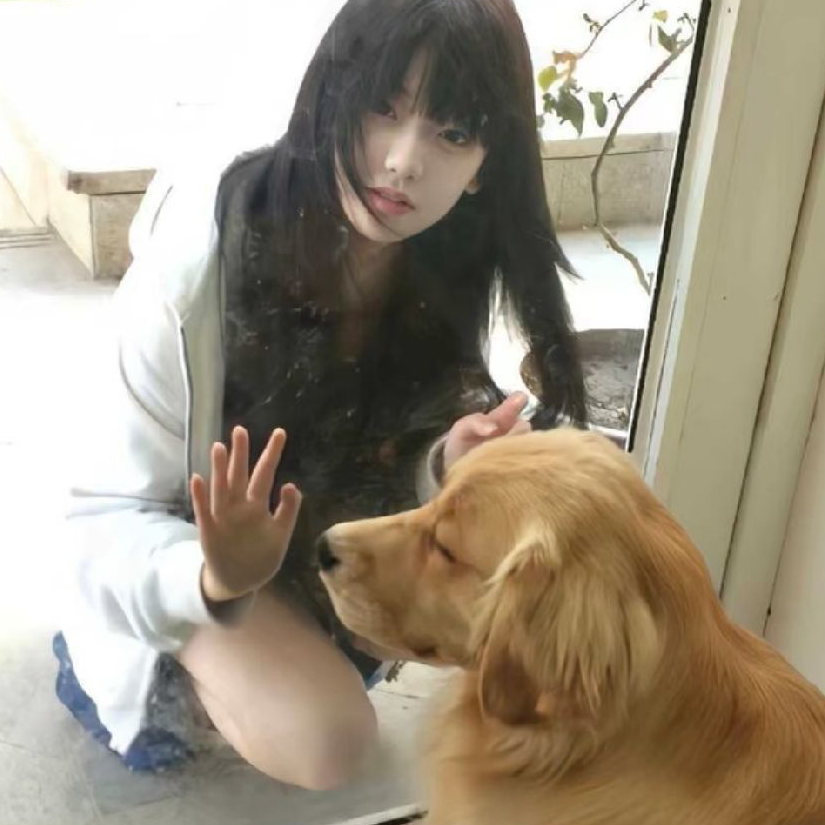 离心↣嗜血