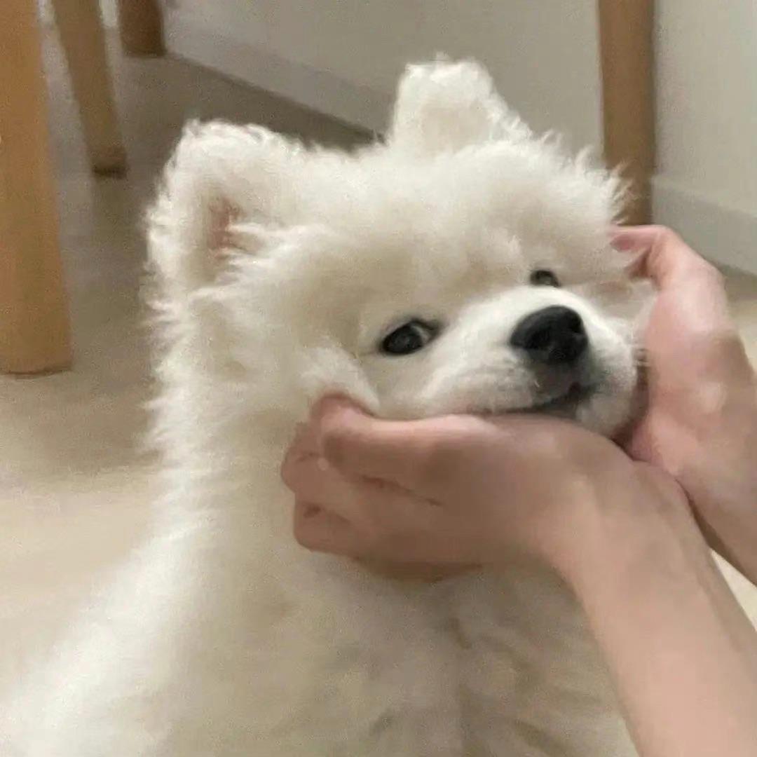 庭云
