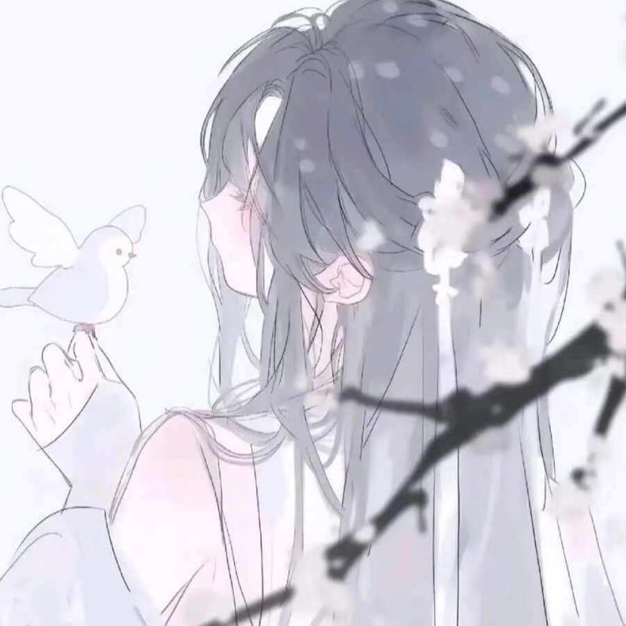沐颜