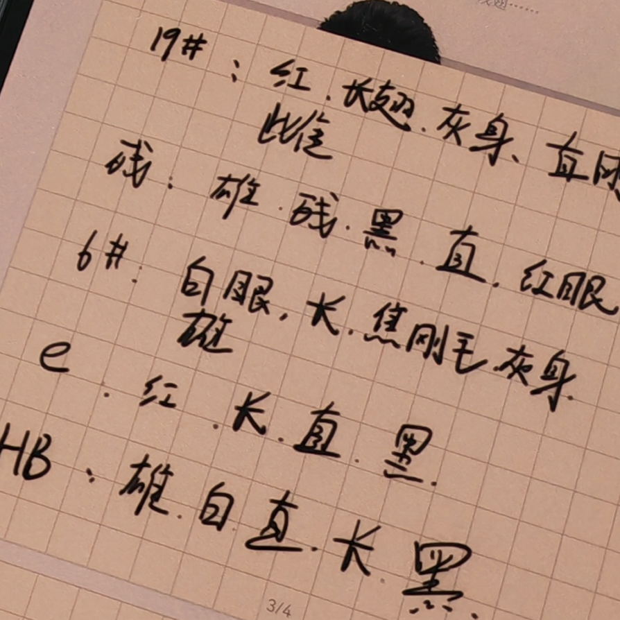 欢乐马
