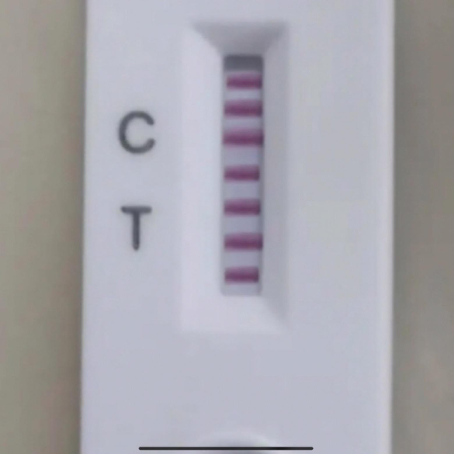 师茂原大帅哥V8海黙王审判主