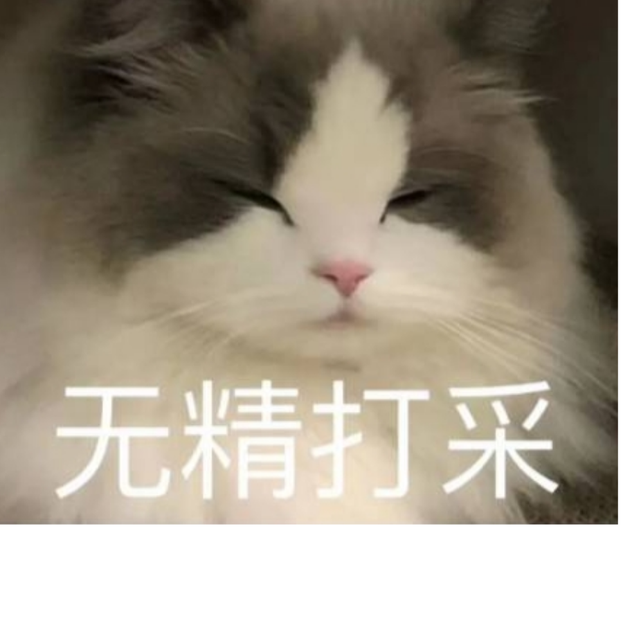 猫猫不干净了