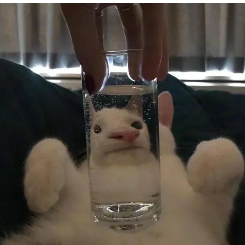 真的绝了