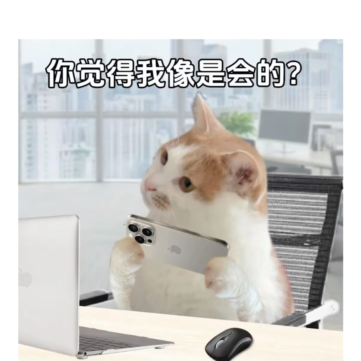 砕月