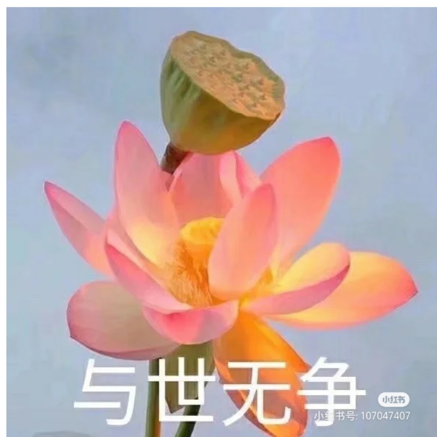 番茄