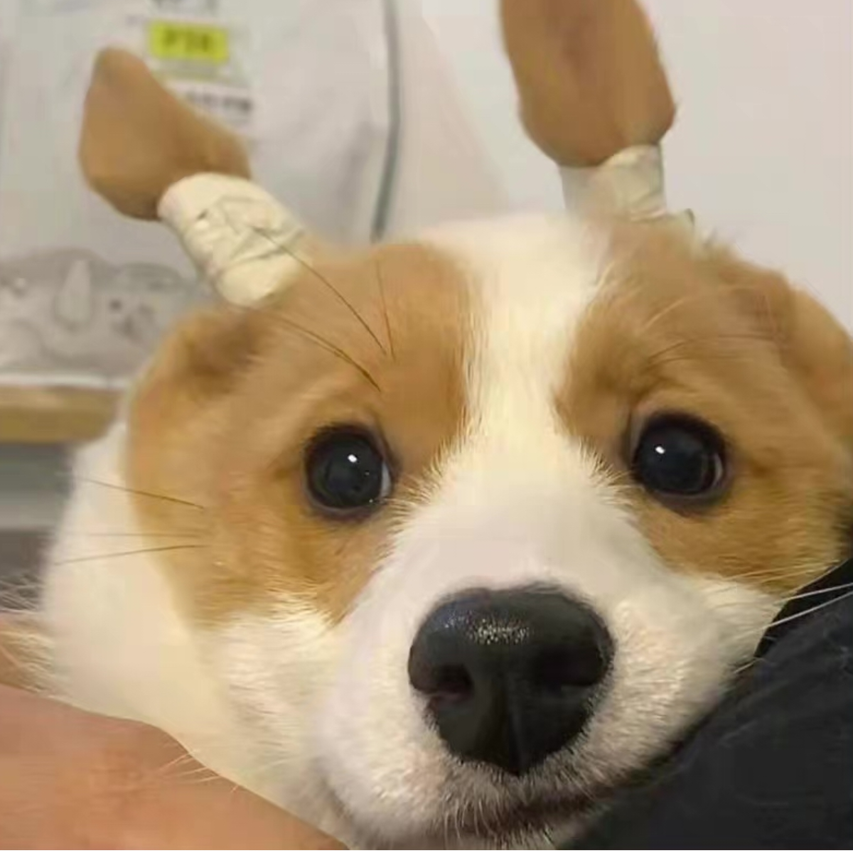 温柔