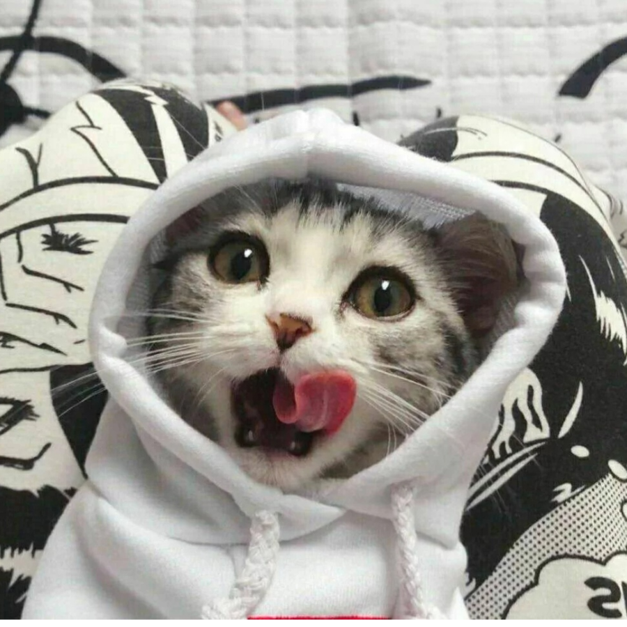 炫羽