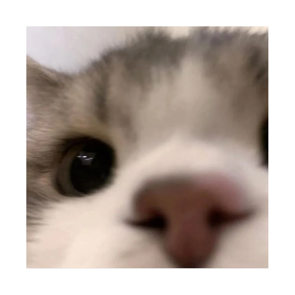 Long
