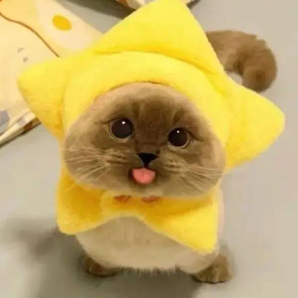 奥德彪