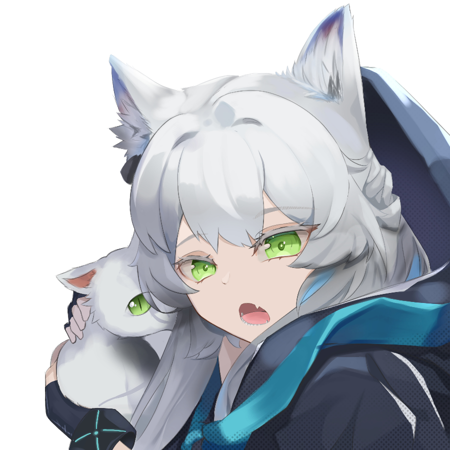 无名的猫