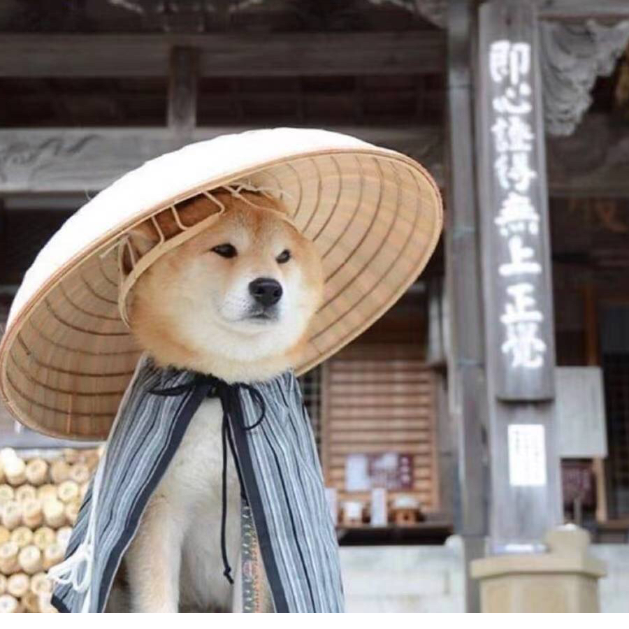 修妖