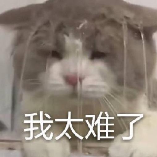 鸢彧