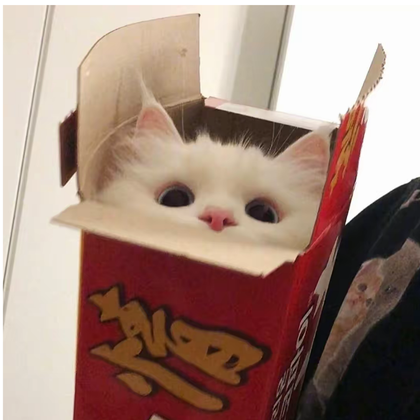小夫k胖虎