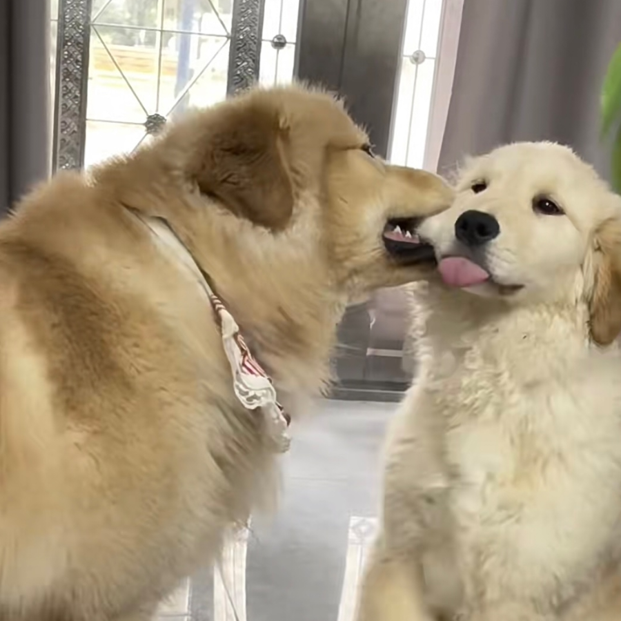 筠.